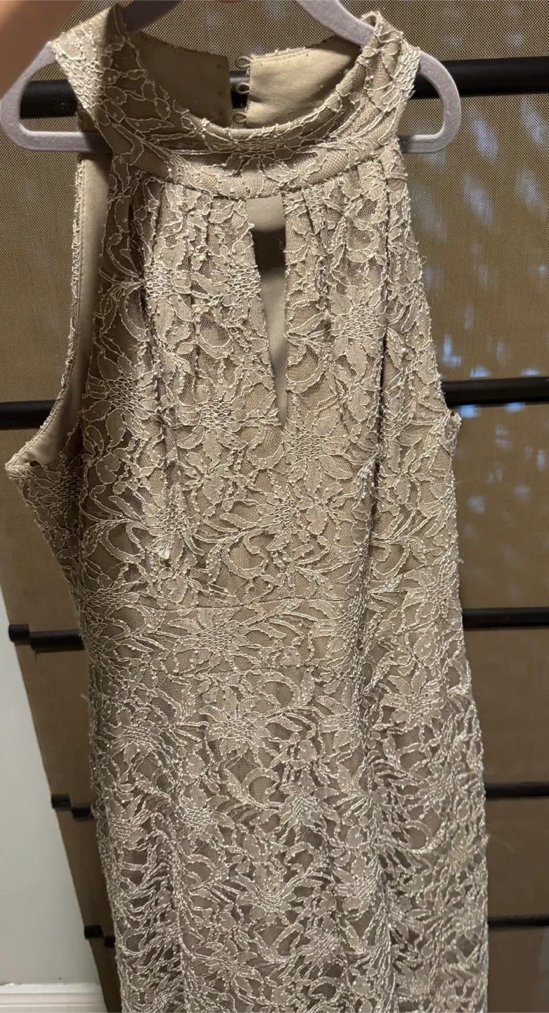 Lace Dress - Size Unknown