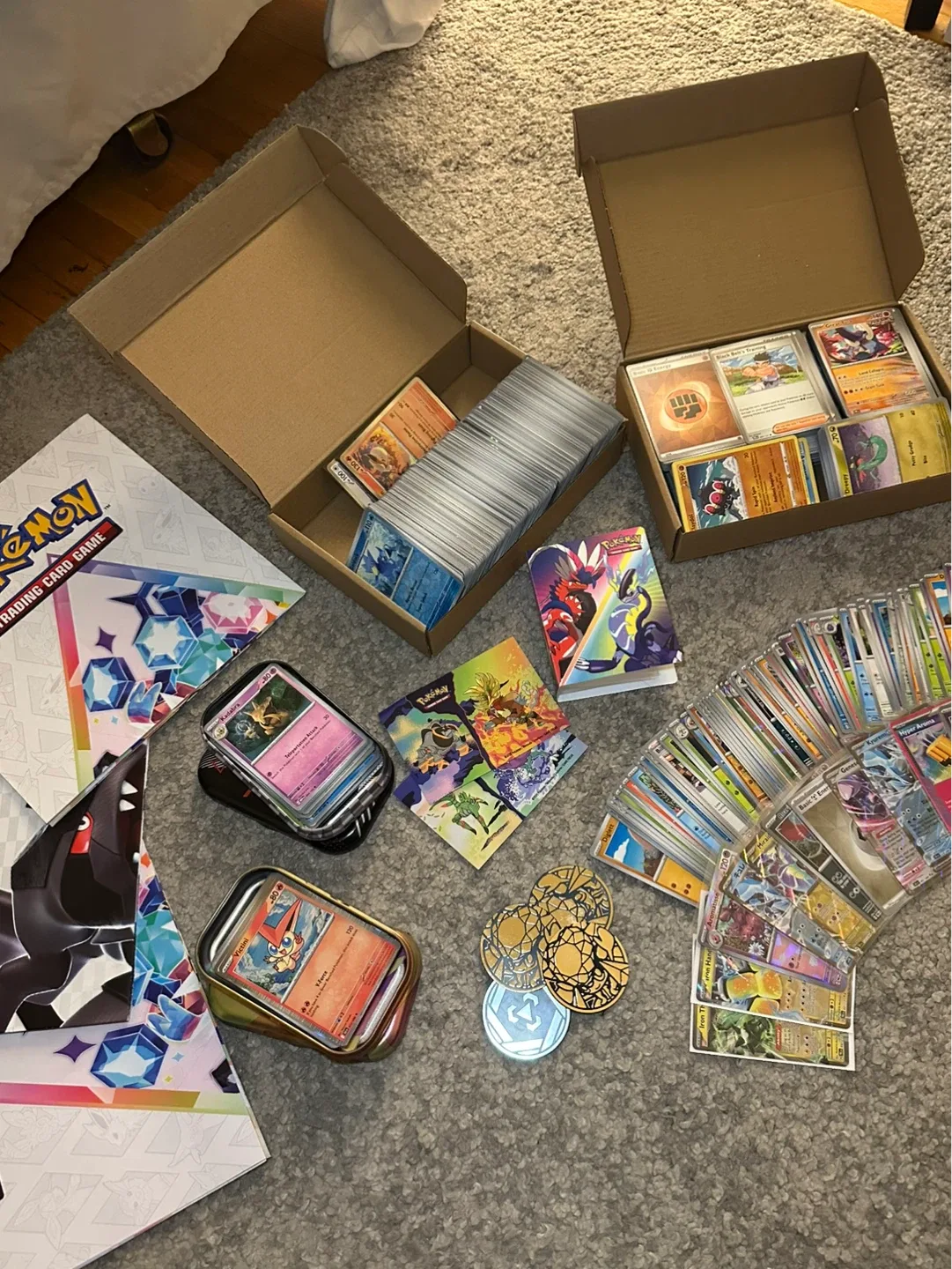 Pokemon Cards + Accessories