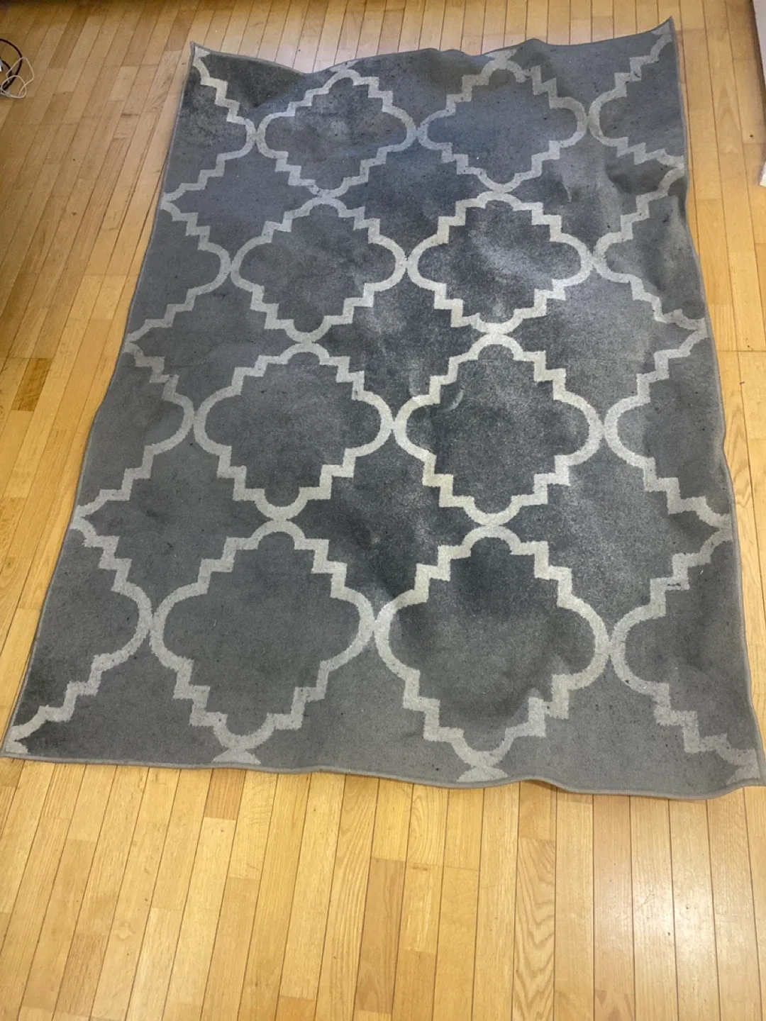 Multy Home Tropic Taza Rug 5'x7' Stone/Snow