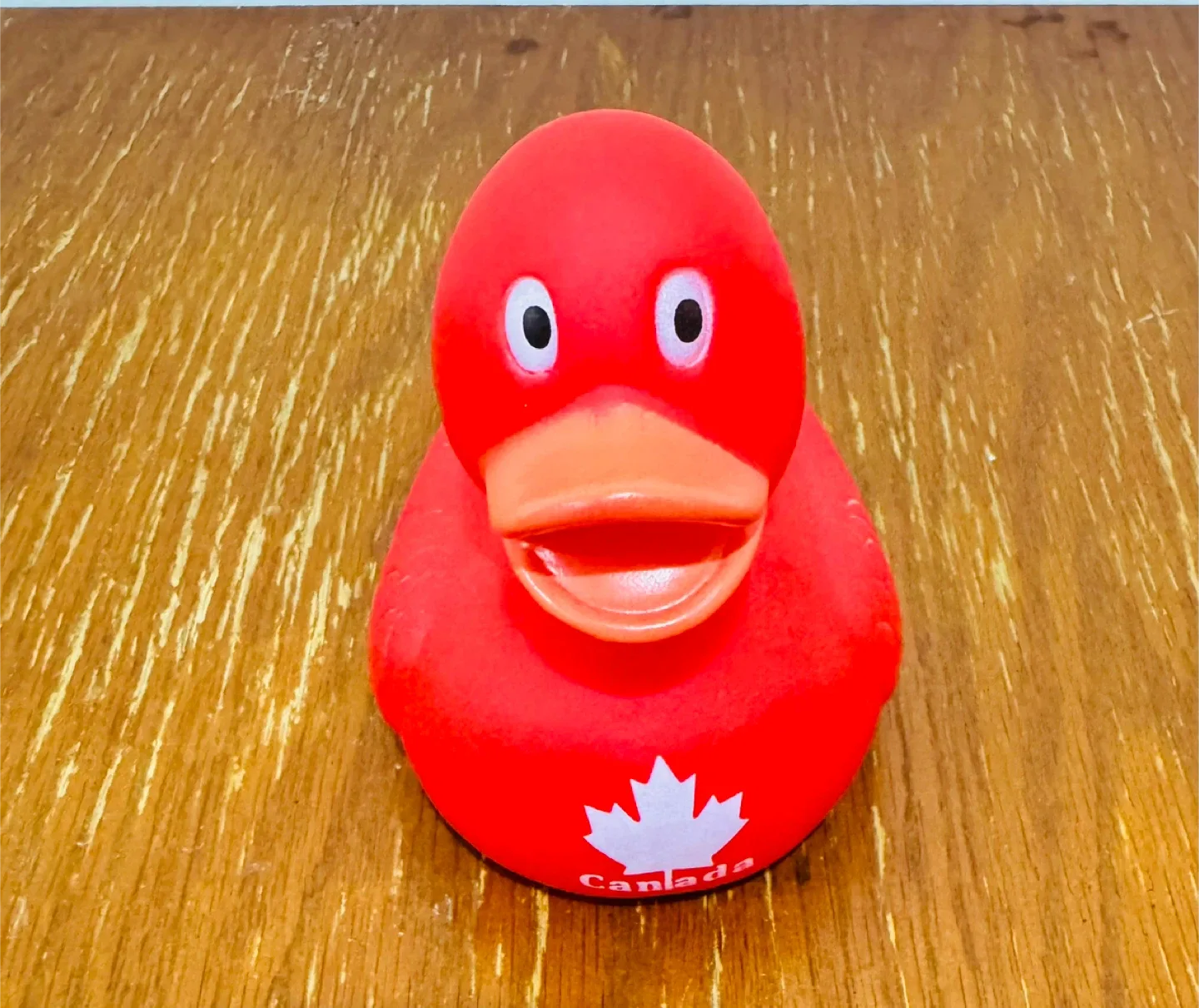 Red Canada Rubber Duck image indicator(2)