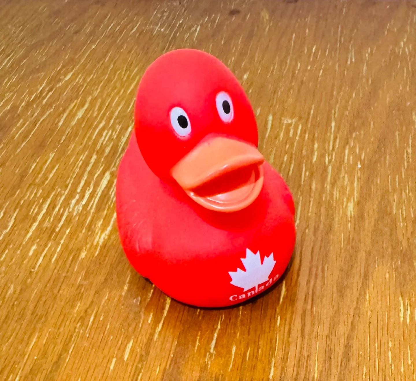 Red Canada Rubber Duck