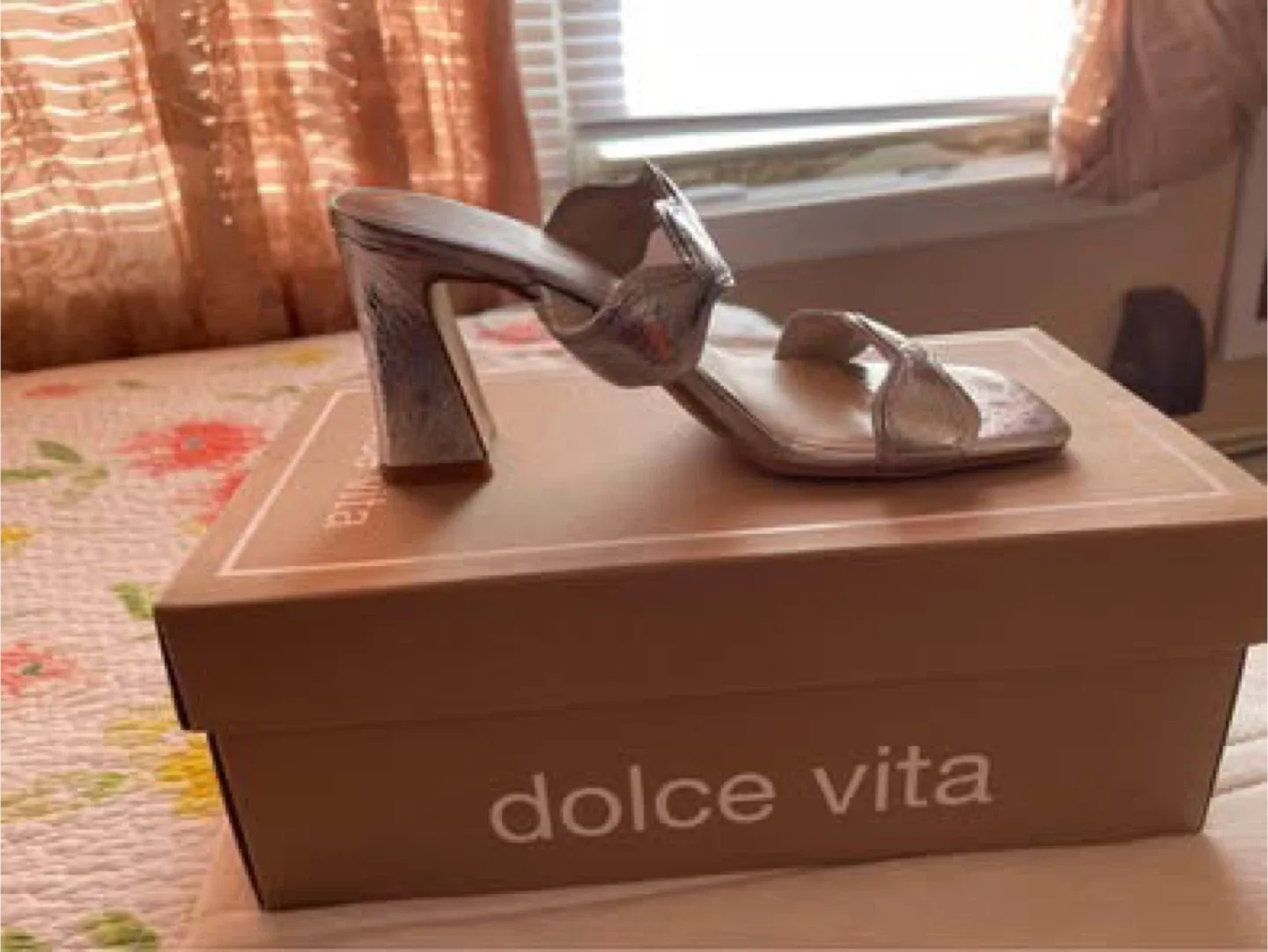 Dolce Vita Silver Heels - Size 5 image indicator(2)
