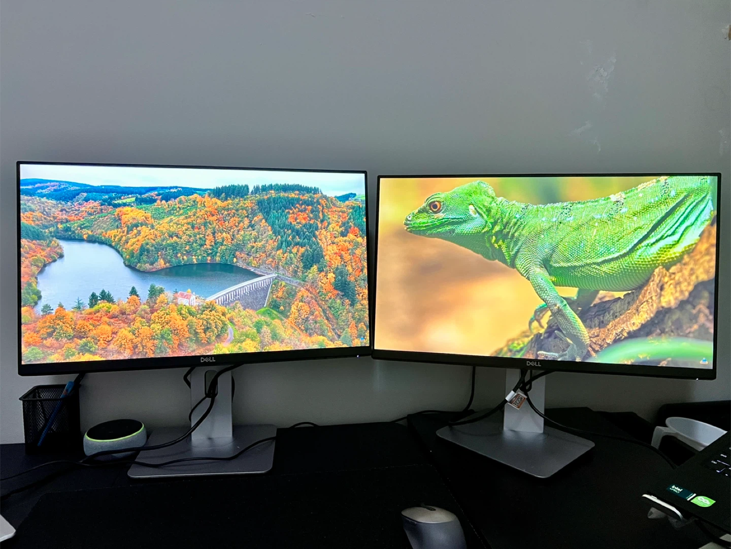 DELL Monitors - P2419HC