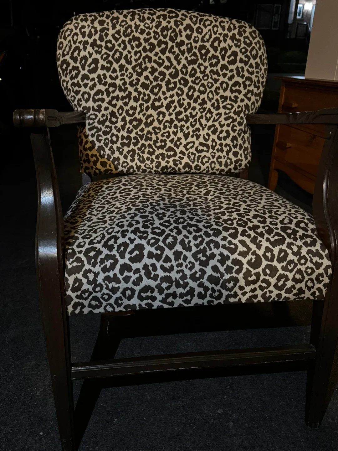 Leopard Print Accent Chair image indicator(3)