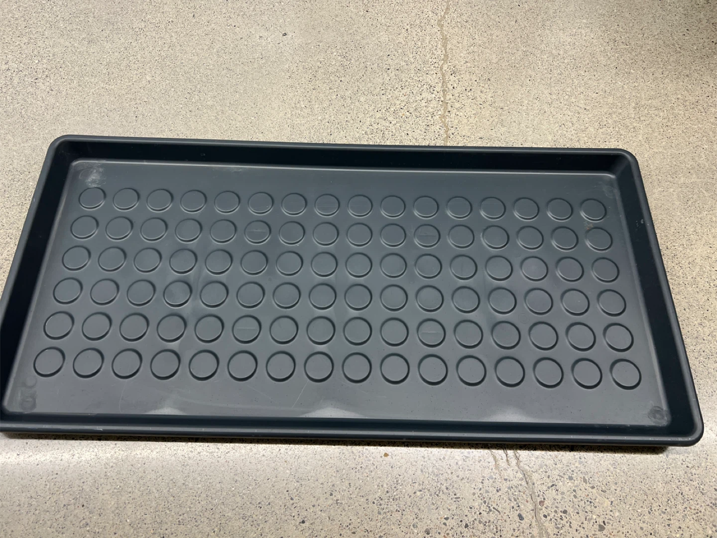 Shoe tray