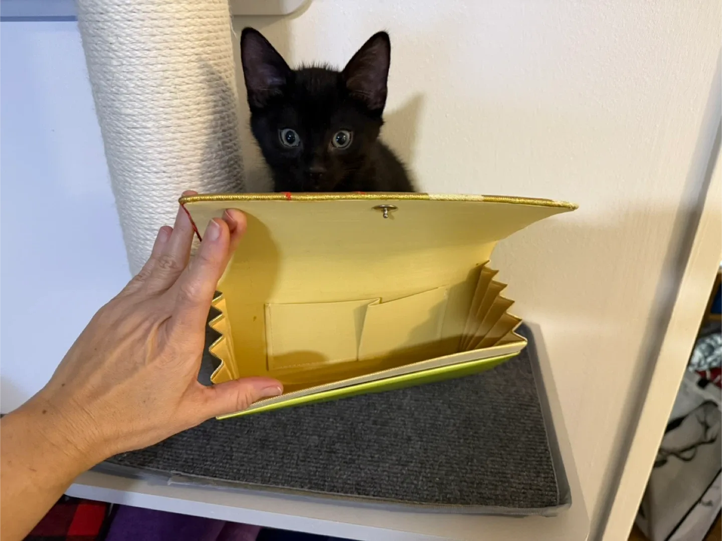 Japanese Style Clutch Purse image indicator(5)