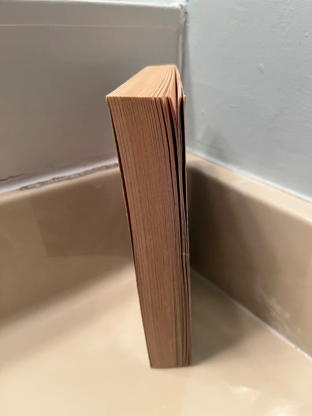 StarCraft Book 2 Shadow Of The Xel’Naga Book image indicator(4)