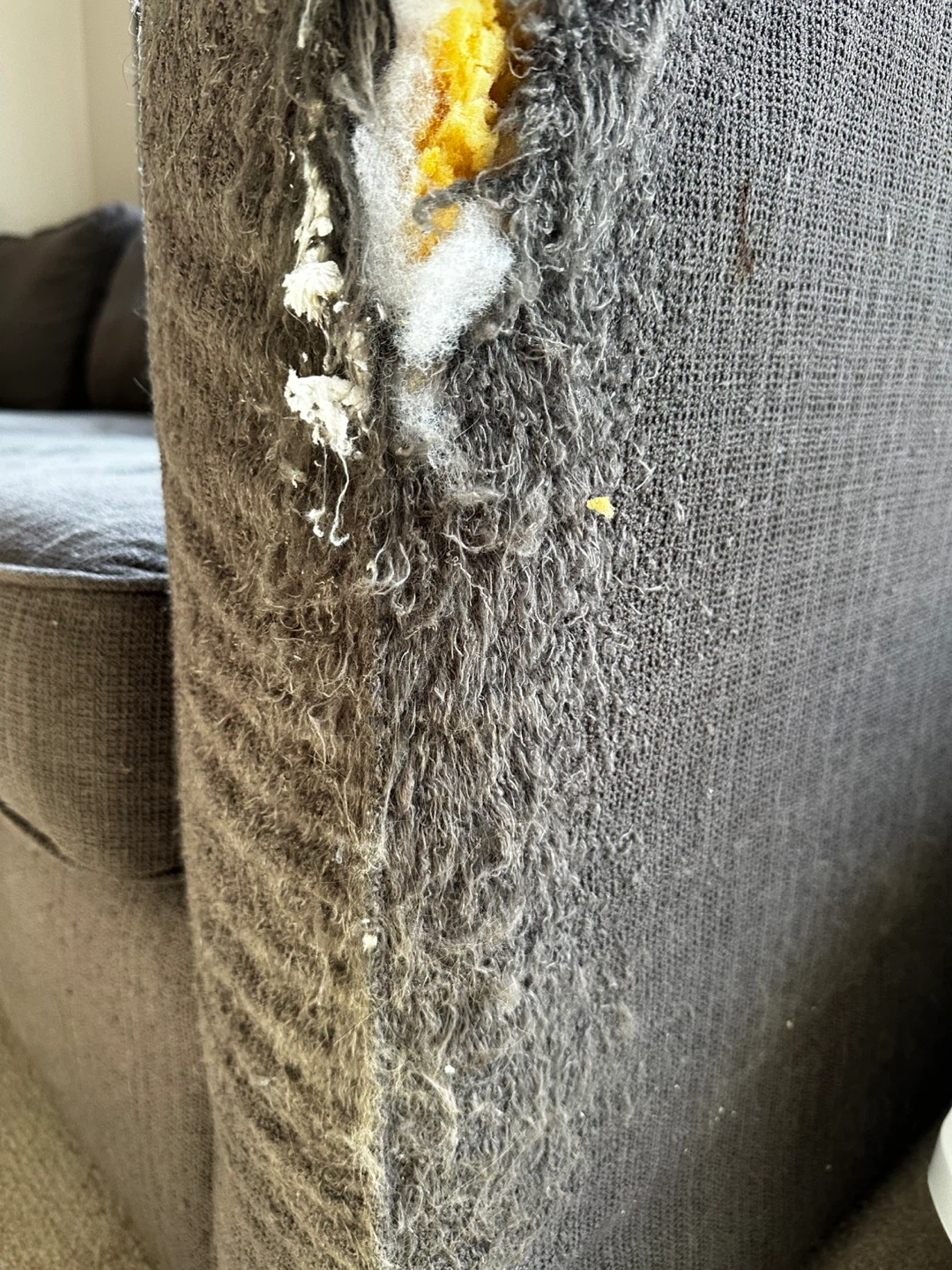 FREE - Large Sectional Sofa - photo 3