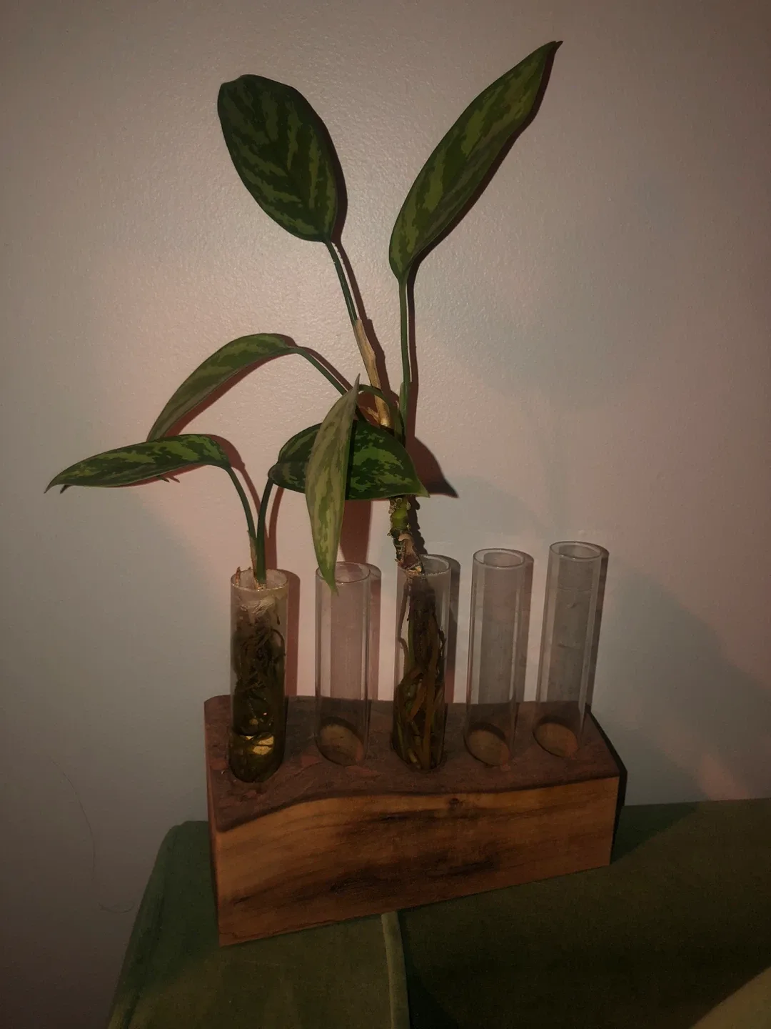 Plant Propagation Station