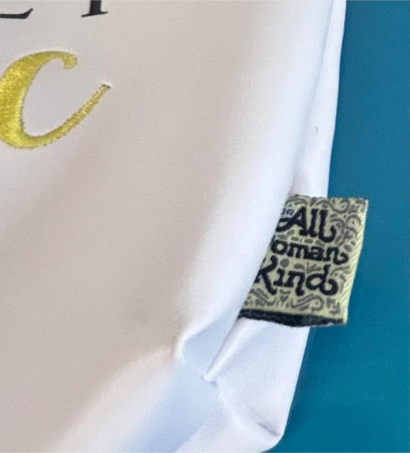 🙏NEW All Woman Kind “Holy Chic” Cosmetic Bag image indicator(3)