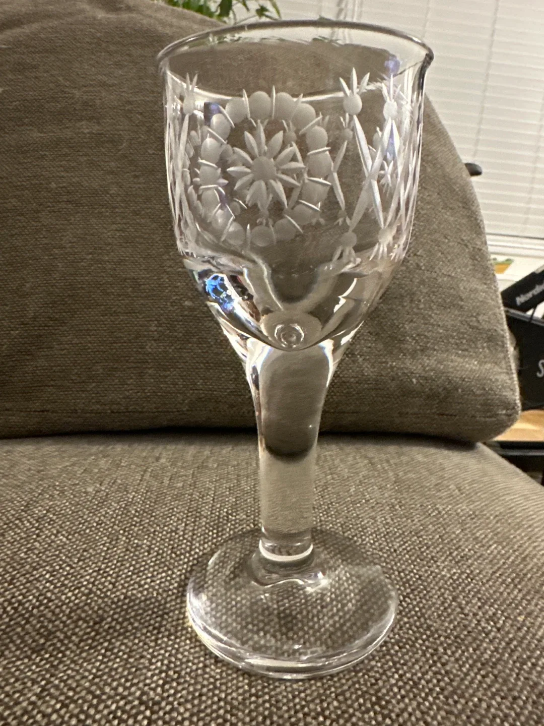 Etched Glass Wine Goblet