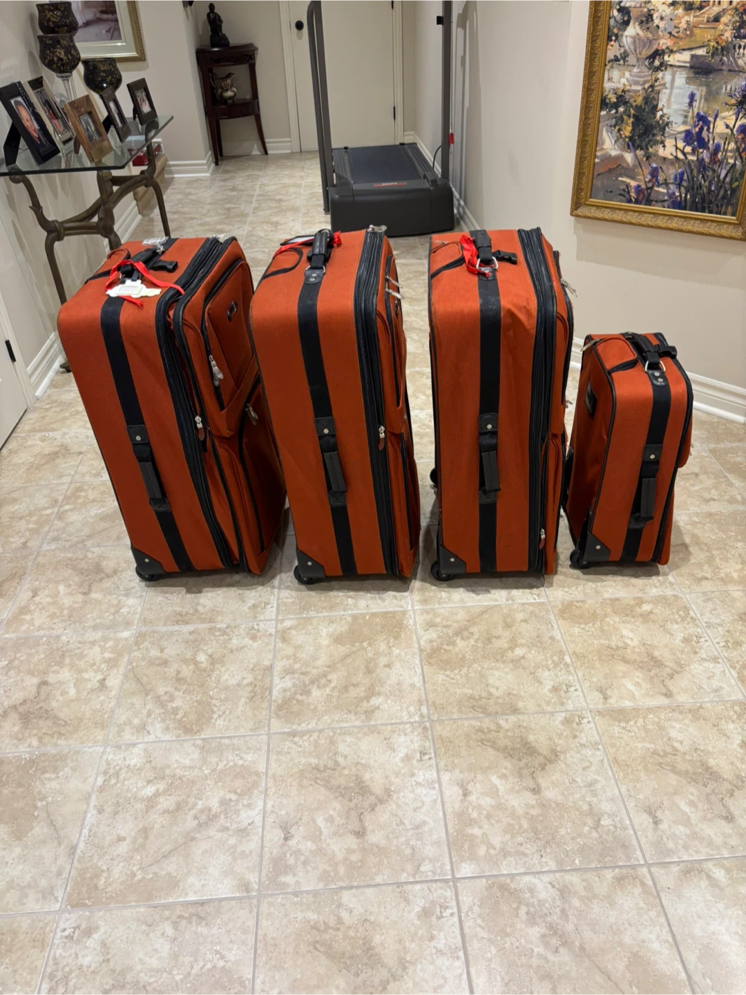 Set of 4 ~ Orange Roots Luggage - photo 2