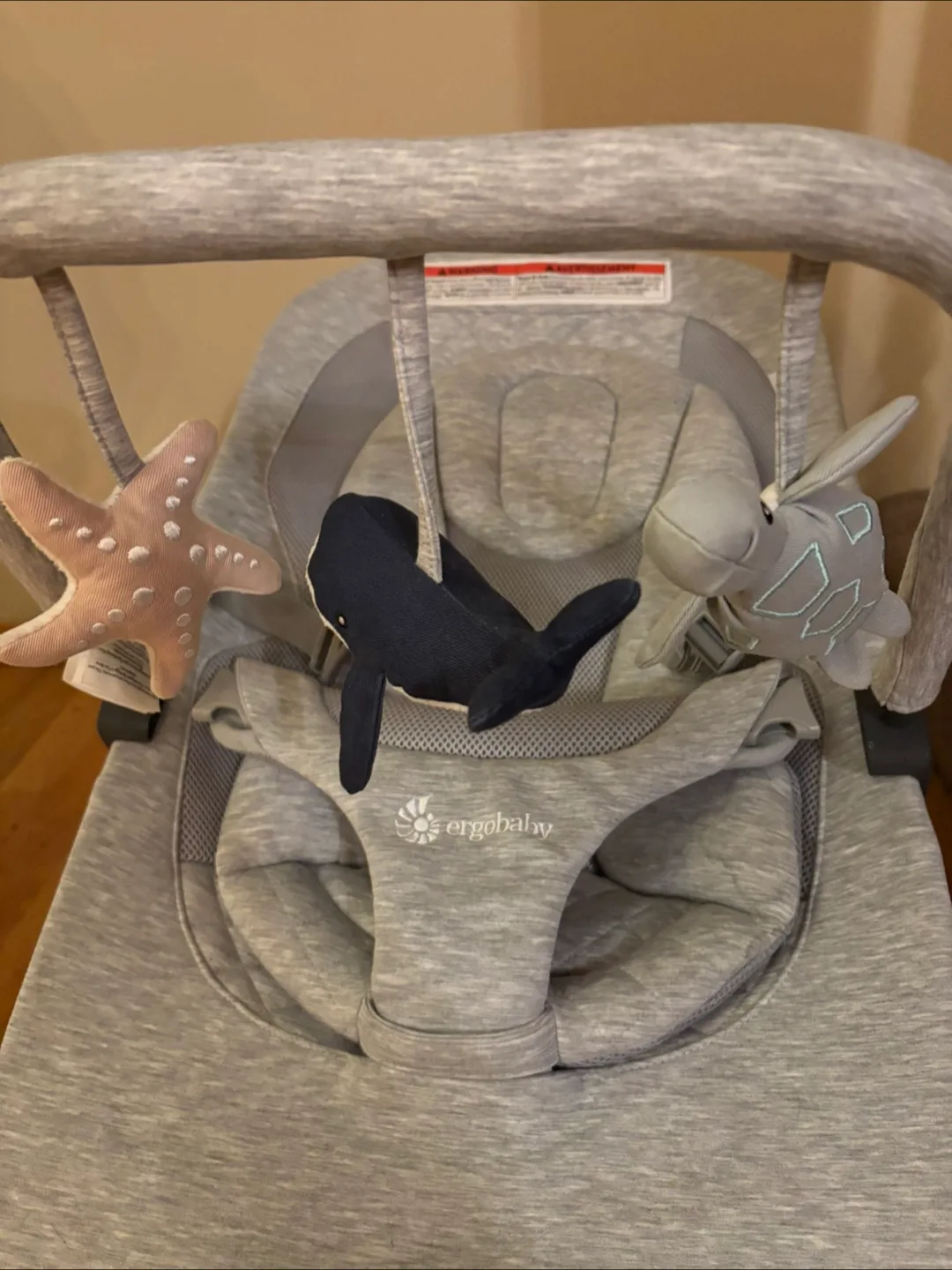 Ergobaby Evolve Bouncer Seat image indicator(2)