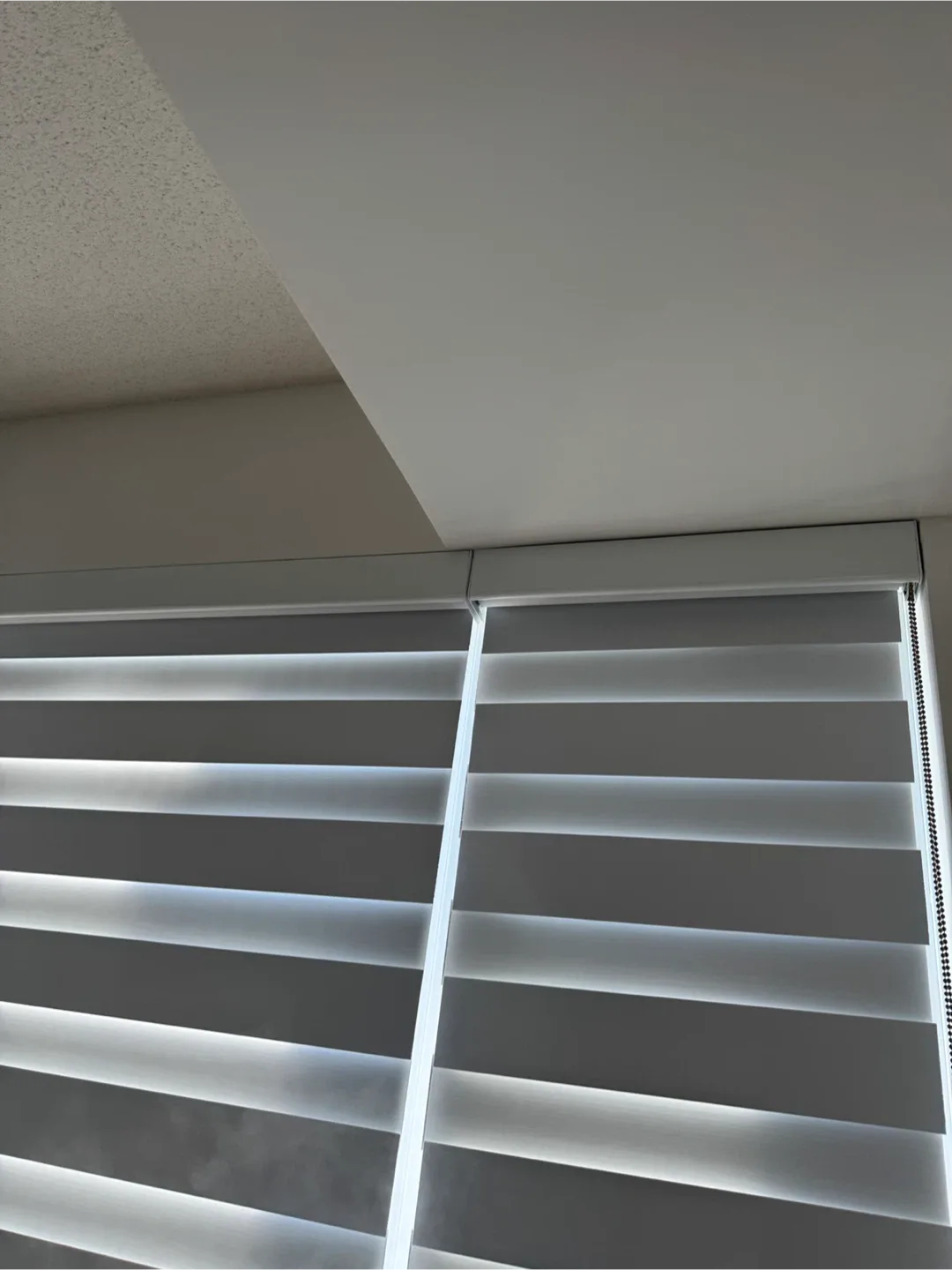 3 pieces Zebra Blinds - Floor to ceiling image indicator(3)