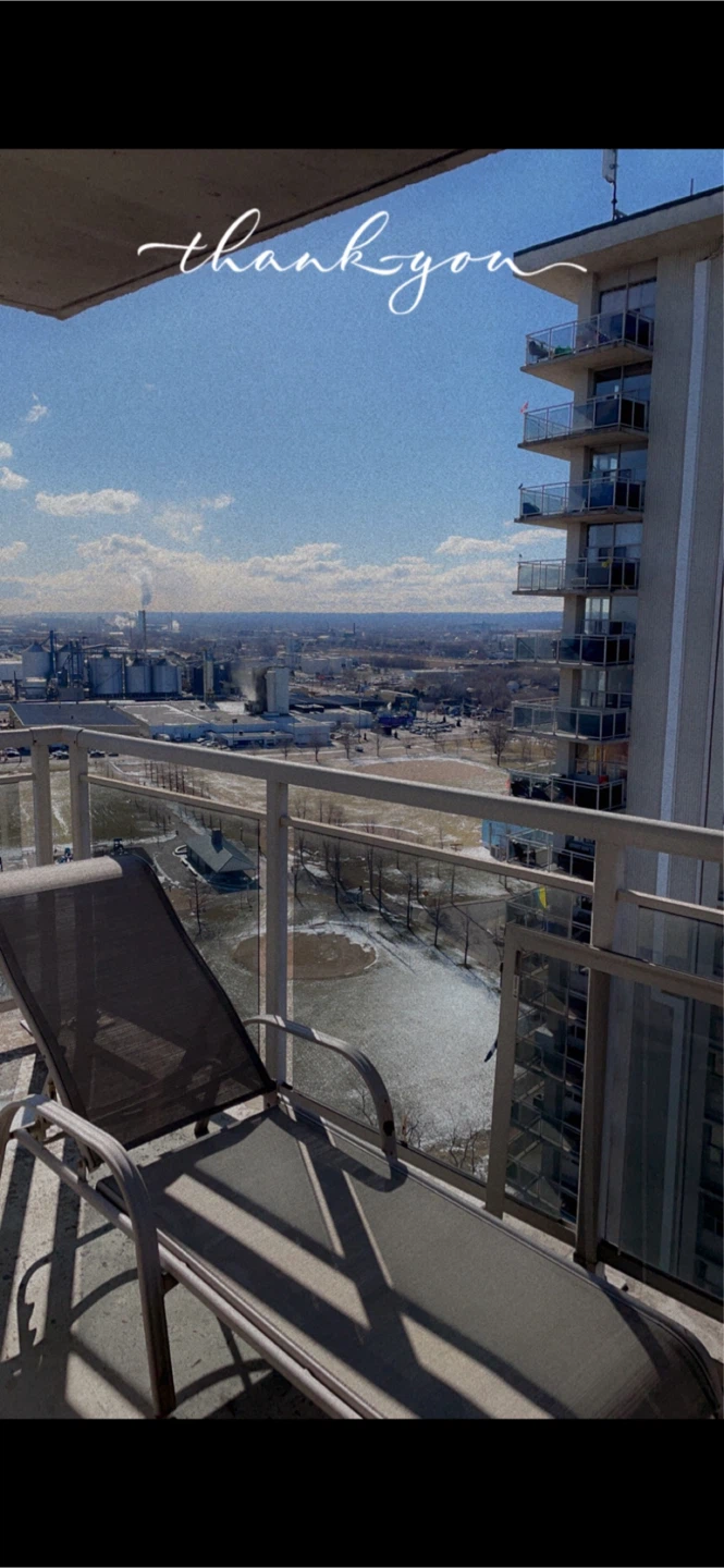 Patio set & sun chair - photo 2