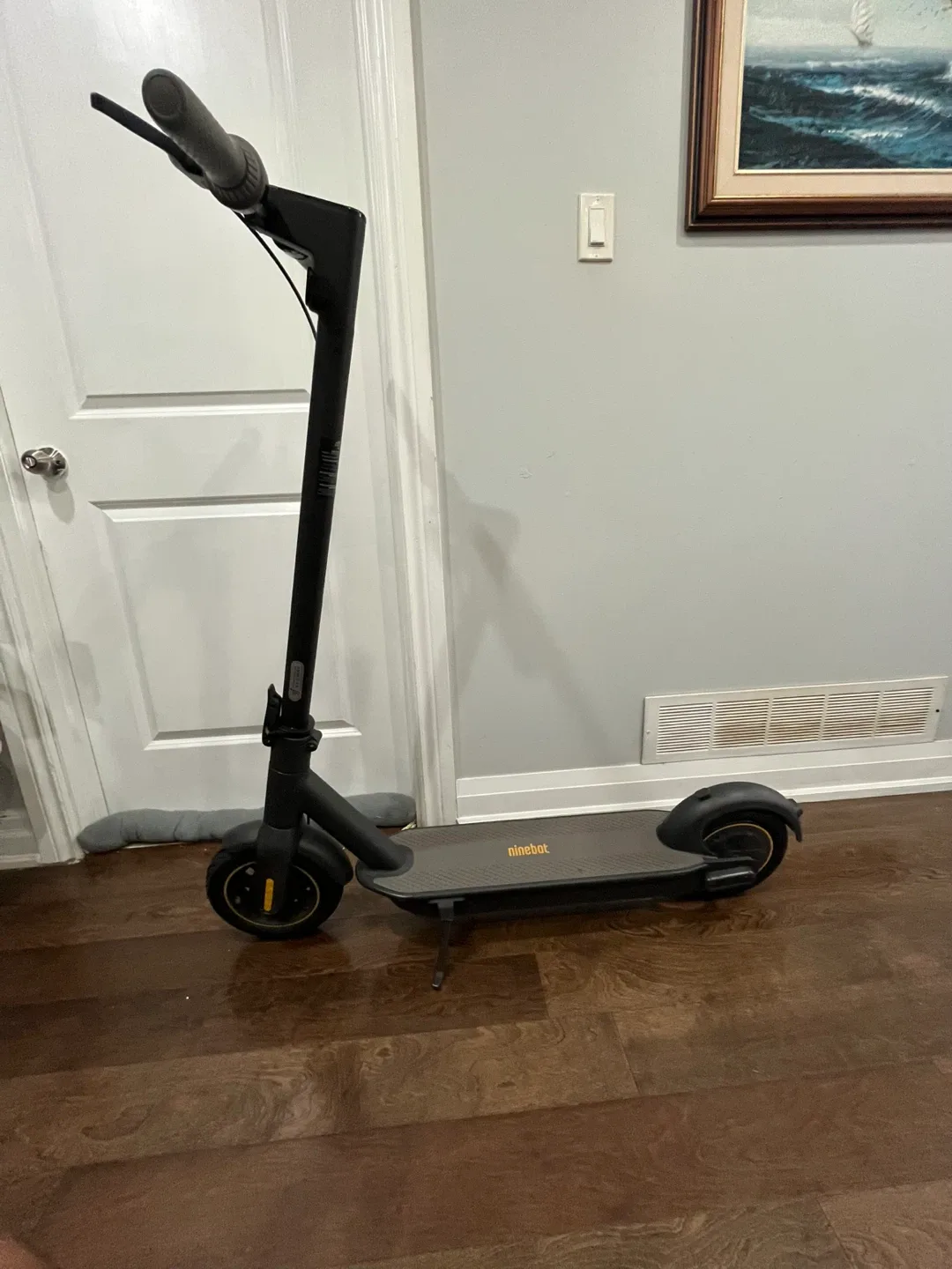 Ninebot Electric Scooter image indicator(6)