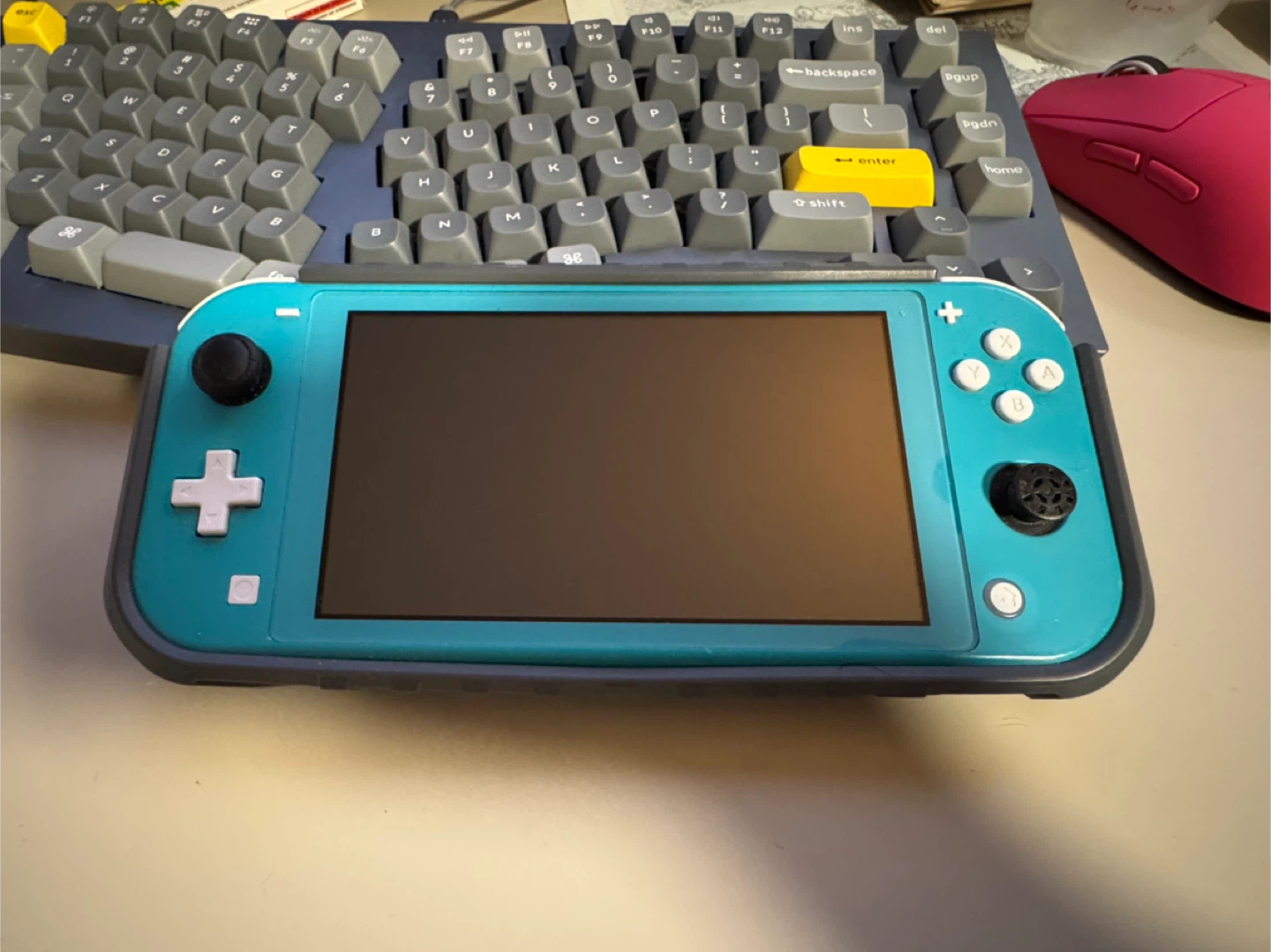 Nintendo Switch Lite with case