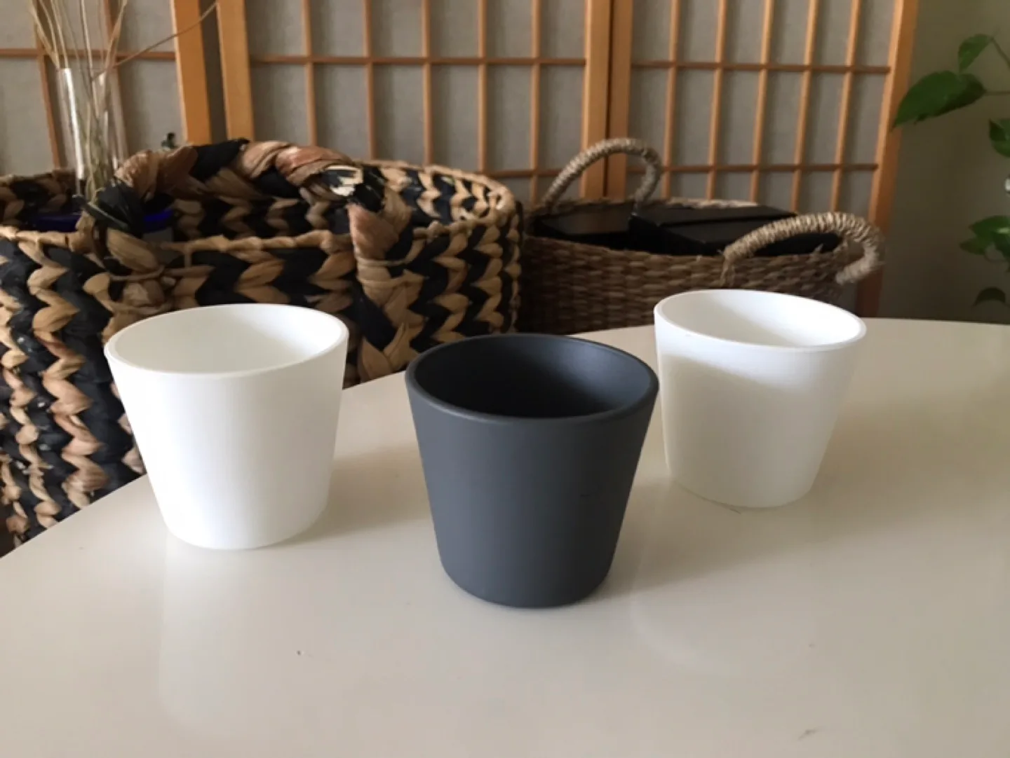 3 Glass Plant Pots Planters + 3 ✨FREE Inserts (Succulents, etc) image indicator(3)