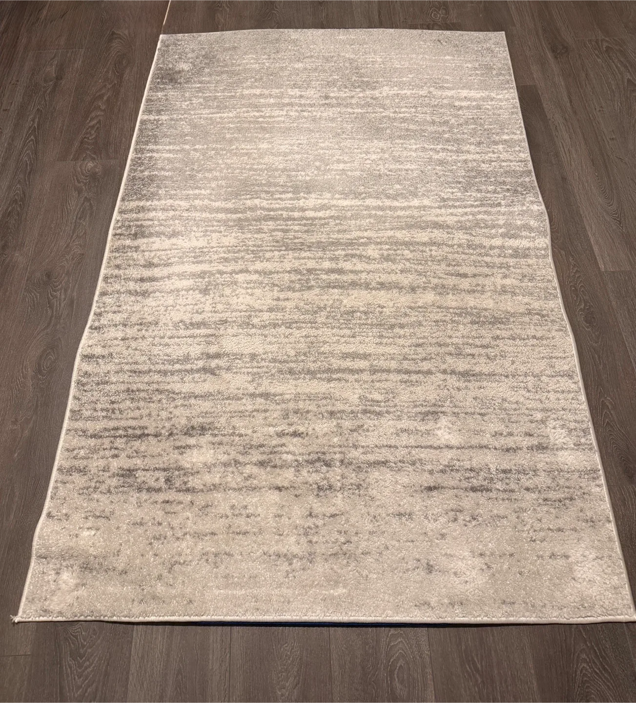 Area Rug, 4' x 6', Light Grey And Cream