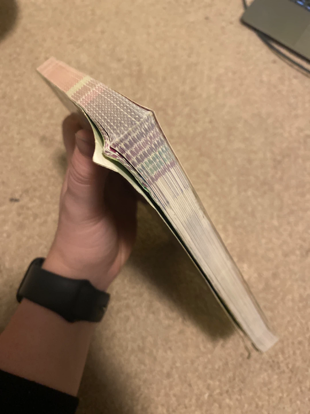 Pokémon Ultimate Handbook Updated Edition - photo 3