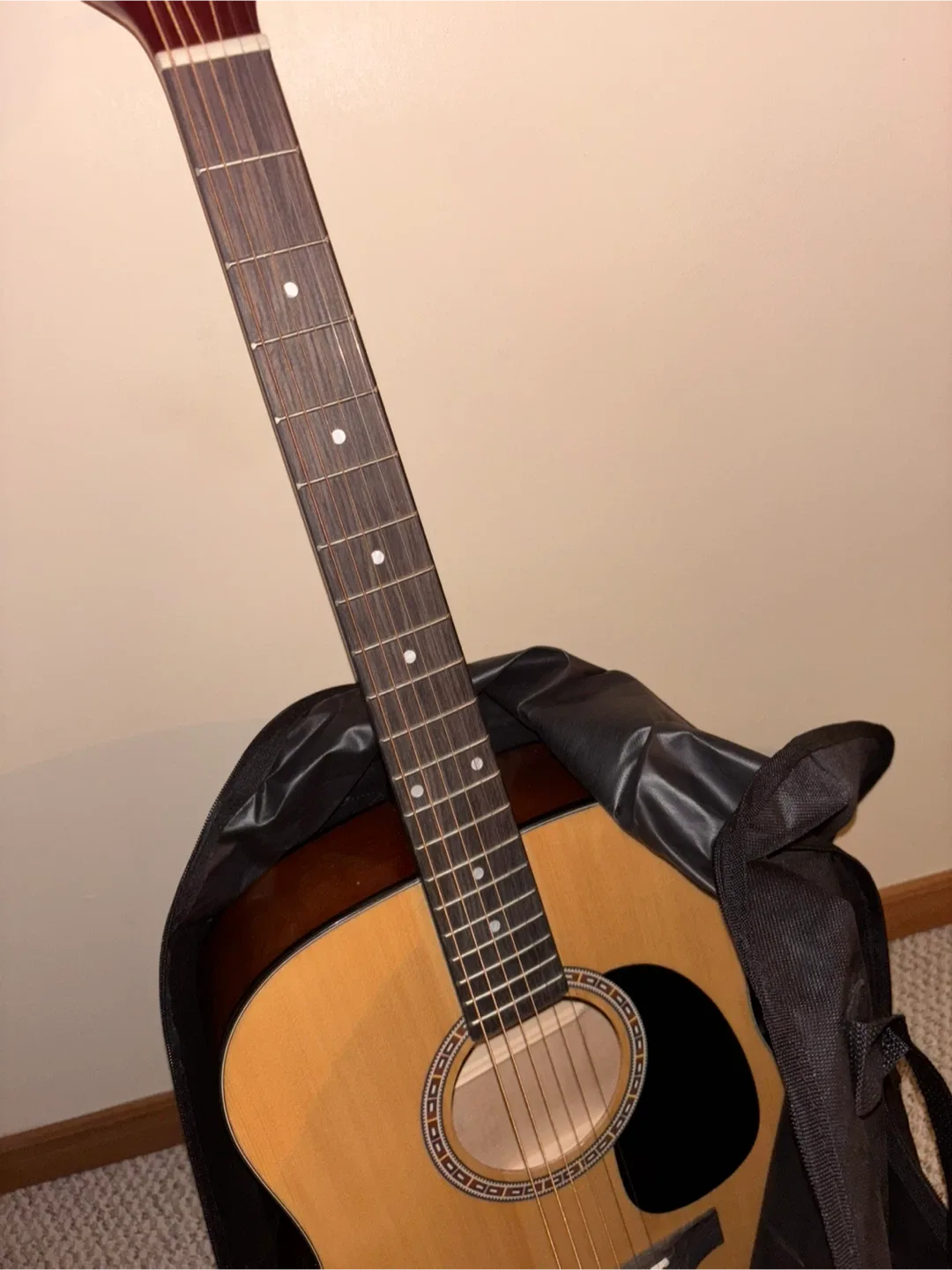 Washburn Acoustic Guitar image indicator(4)