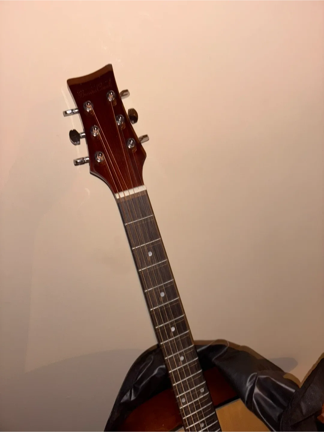 Washburn Acoustic Guitar image indicator(2)