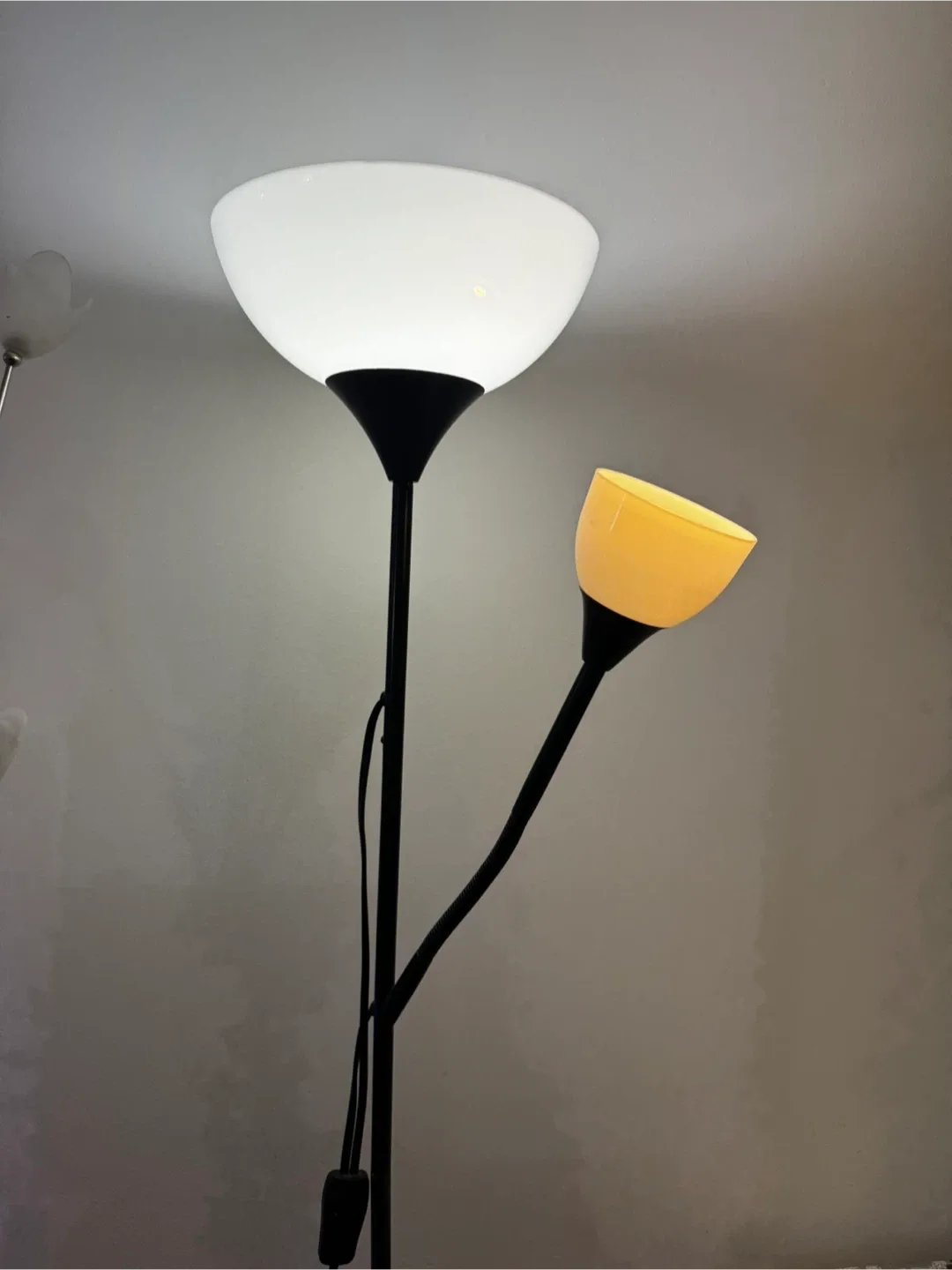 Ikea Floor Lamp with Reading Light