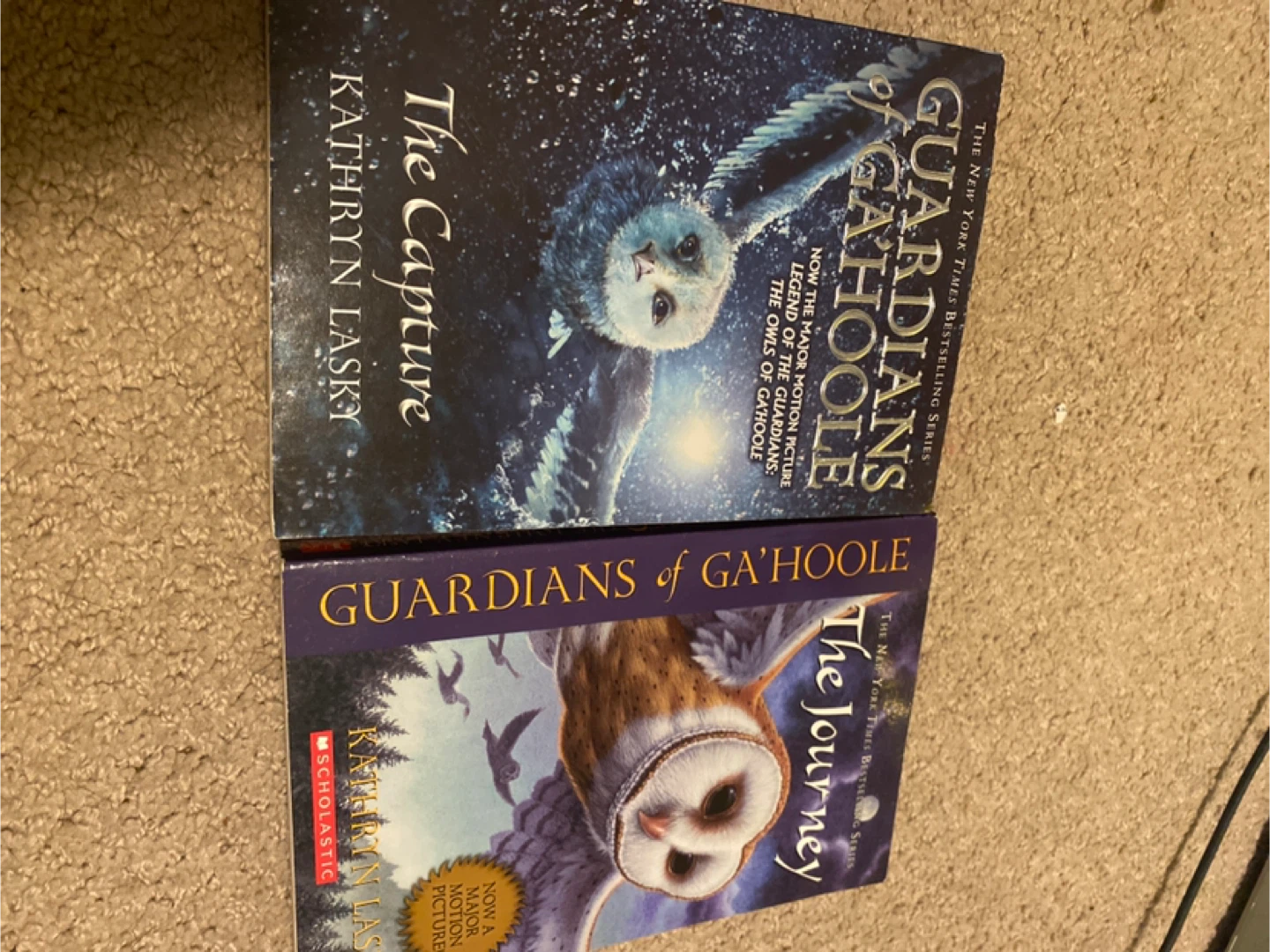 Guardians of Ga'Hoole Books 1 & 2