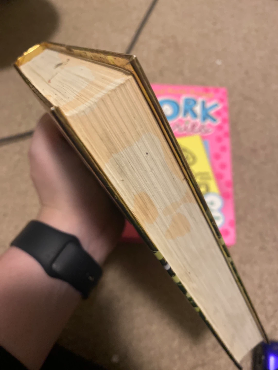 Dork Diaries Books by Rachel Renee Russell - photo 5
