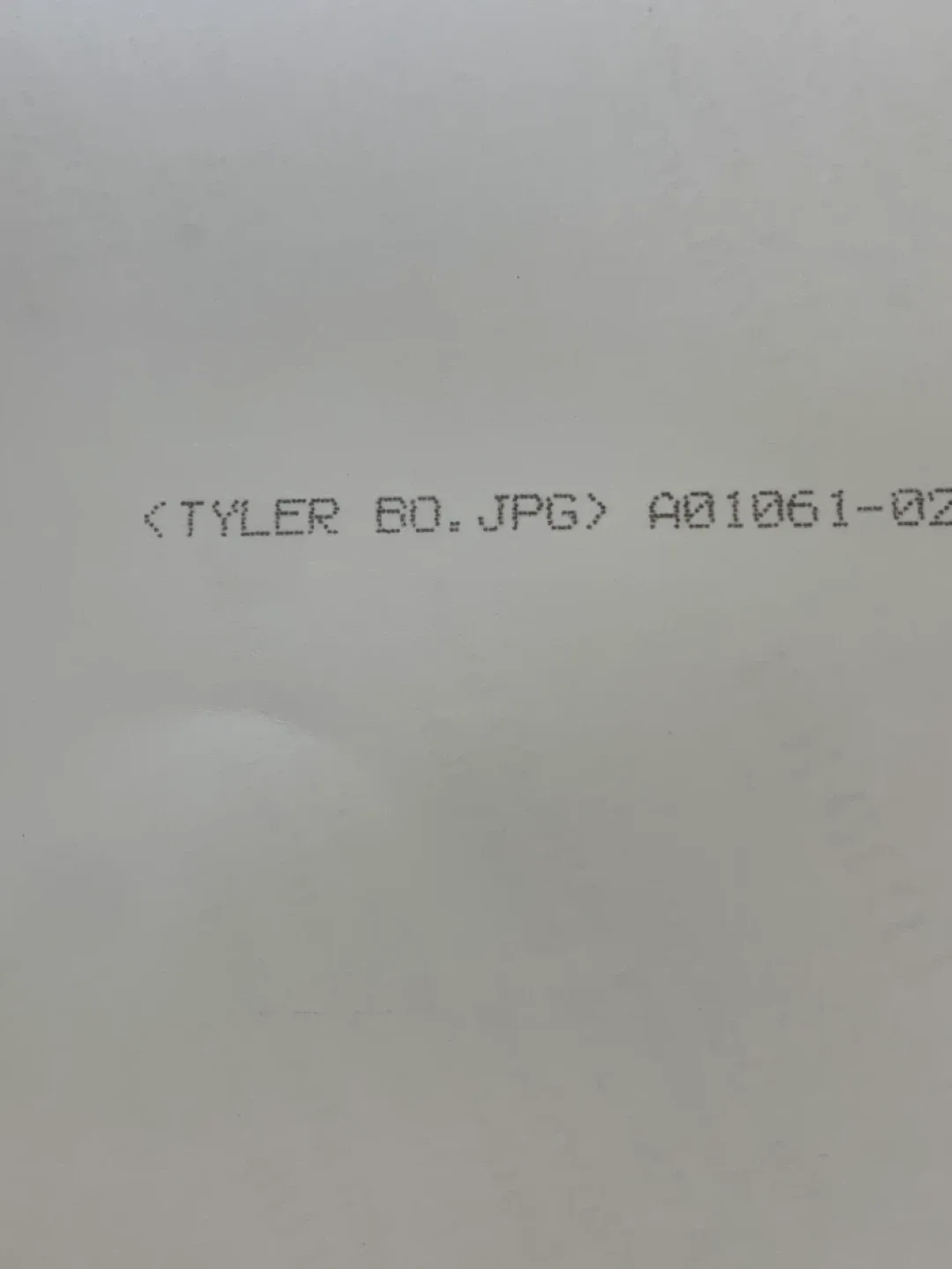 Tyler Bozak Autographed Toronto Maple Leafs Photo image indicator(3)