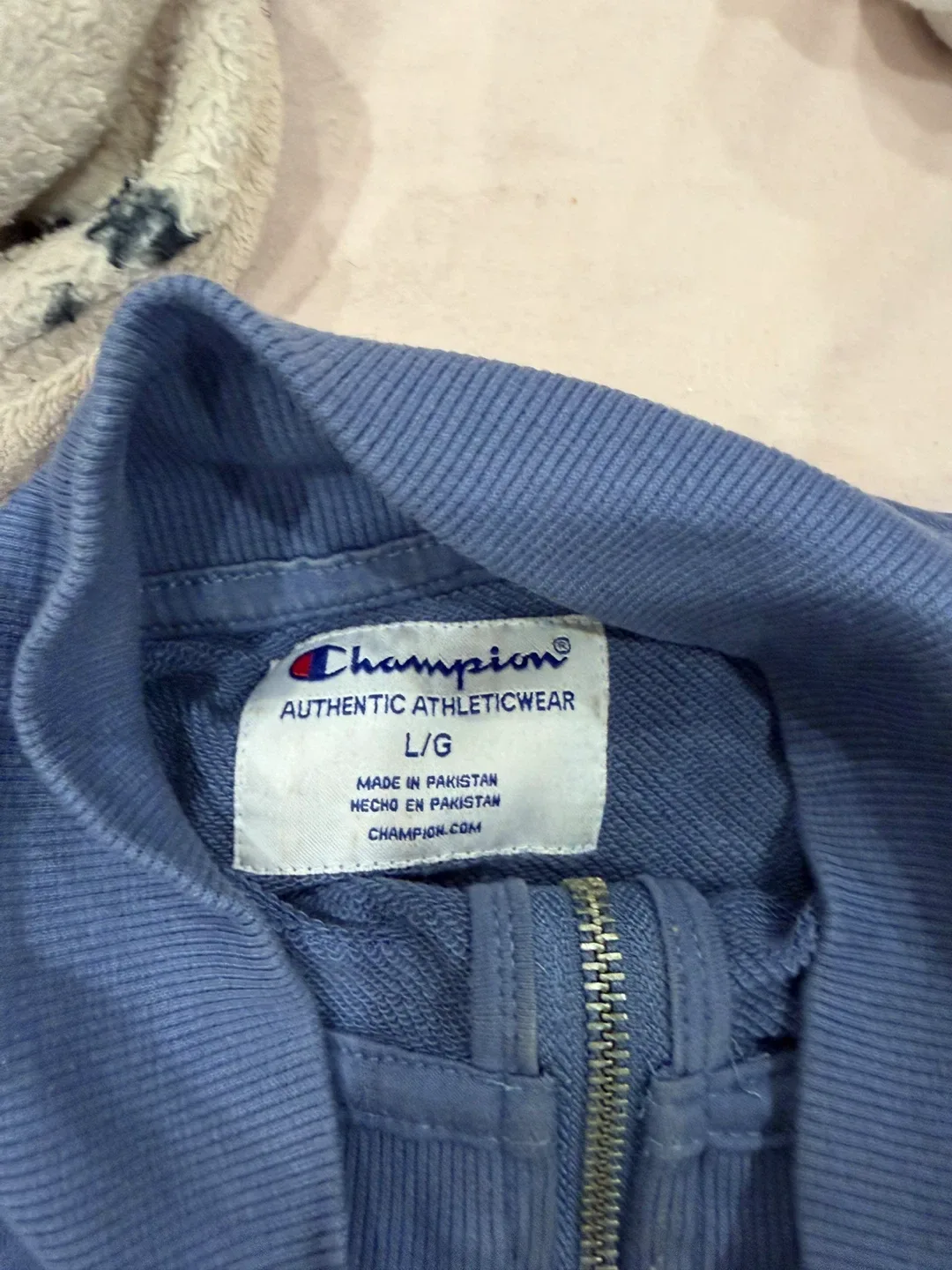 Champion sweatshirt -  L/G image indicator(2)