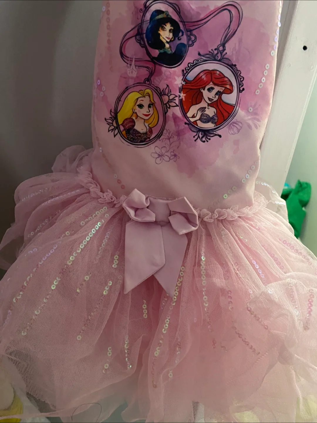 Disney Princess Tutu Dress image indicator(5)