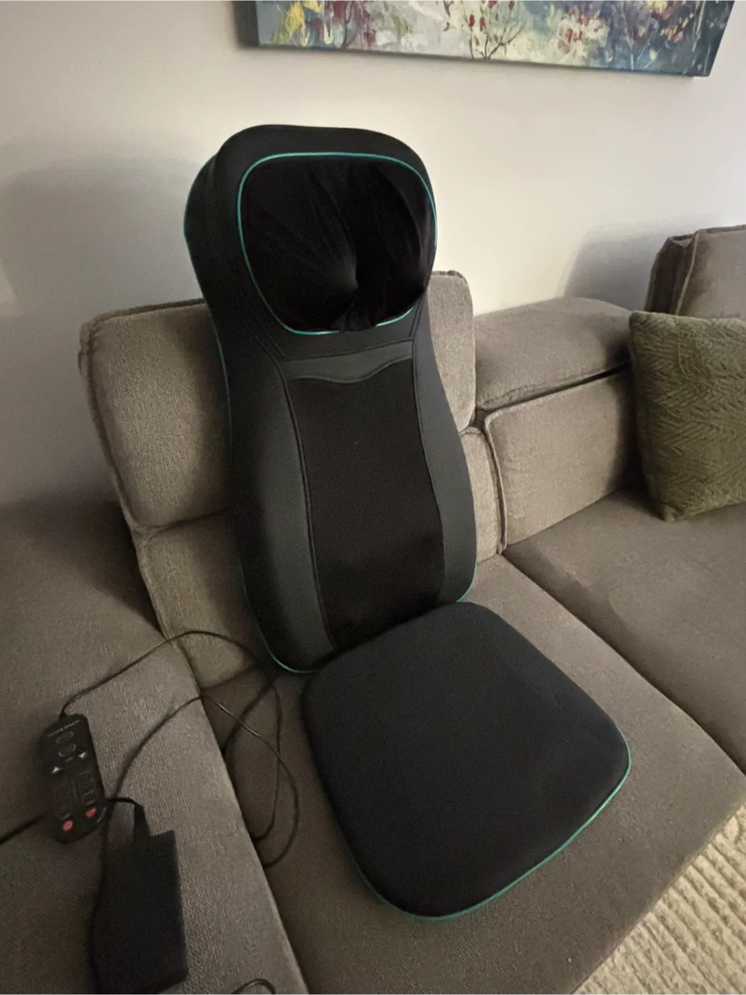 Shiatsu Back Massager with Heat