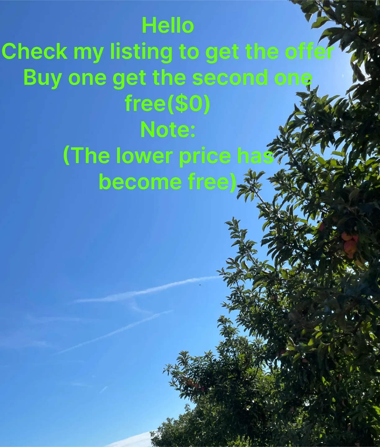 Buy one get the second free check my listing