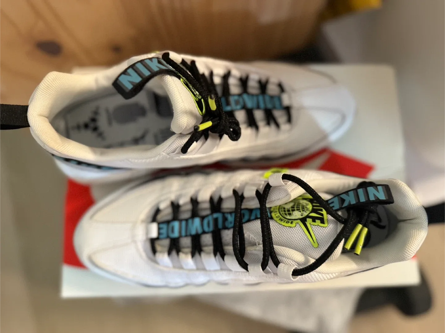 Nike Air Max 95 Worldwide, New US 9 image indicator(3)