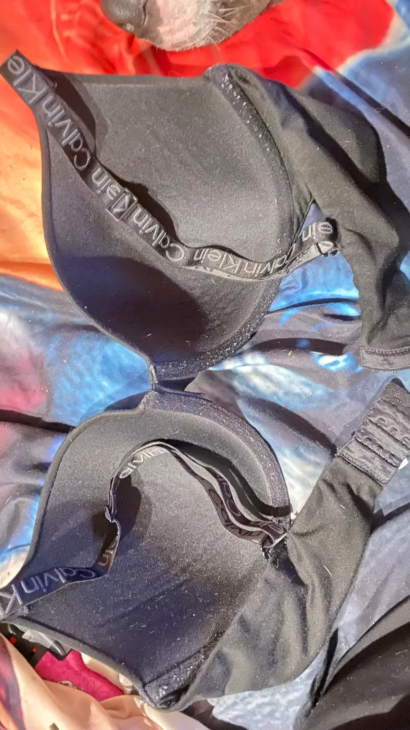 Calvin Klein Black Bra - Size 36C image indicator(2)