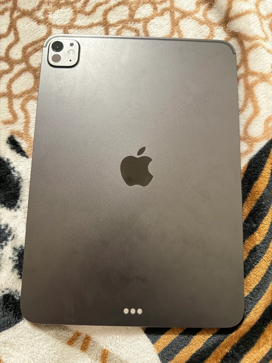 Apple iPad Pro 11-inch (M4) 256GB image indicator(6)