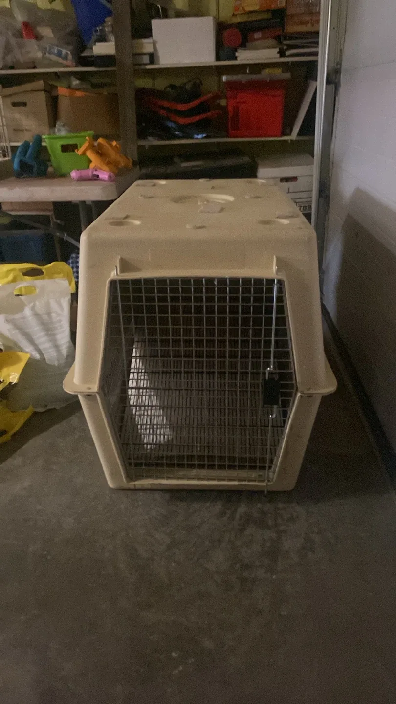 Petmate Pet Carrier. Very large