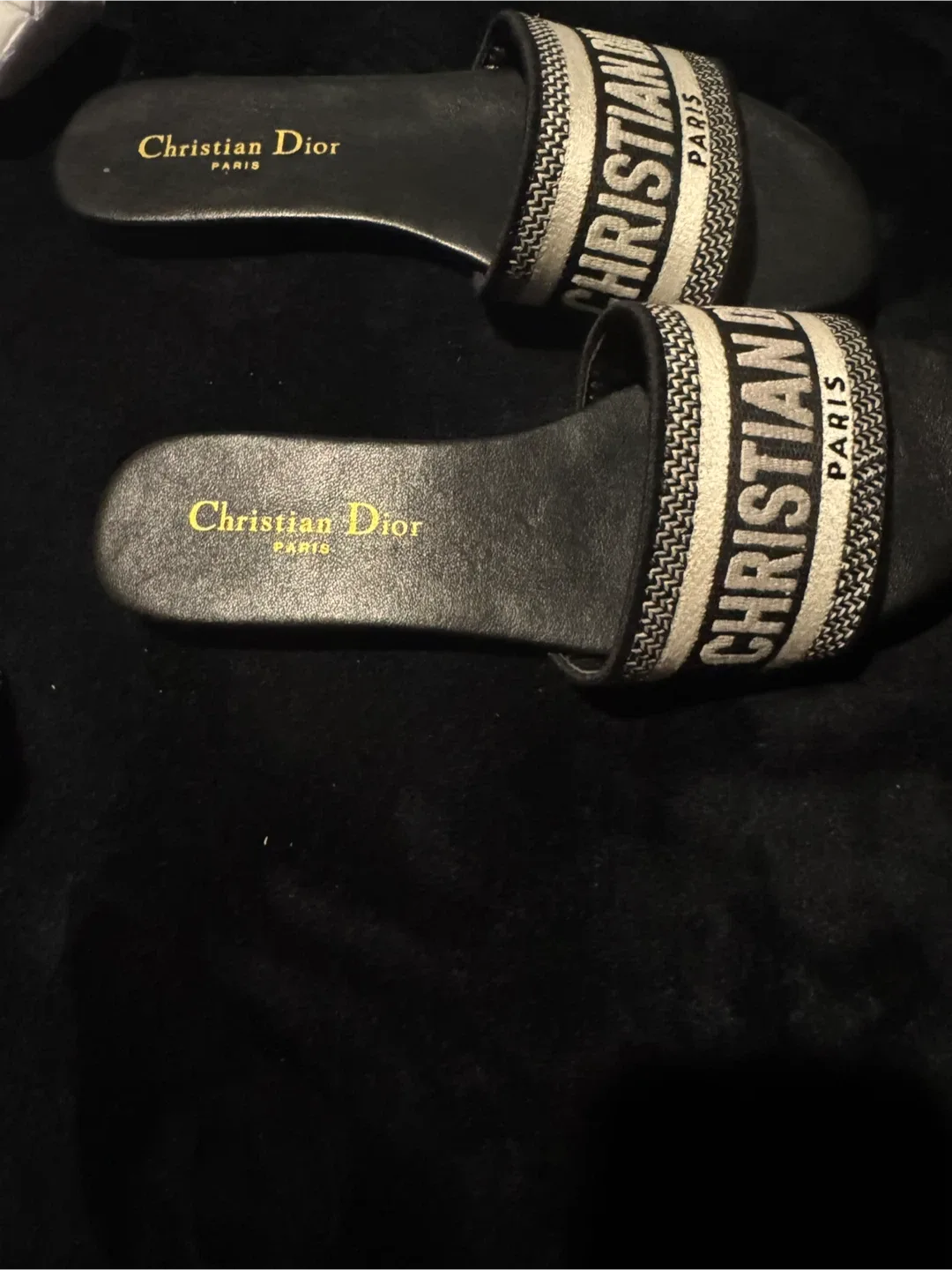 Christian Dior Slides image indicator(2)