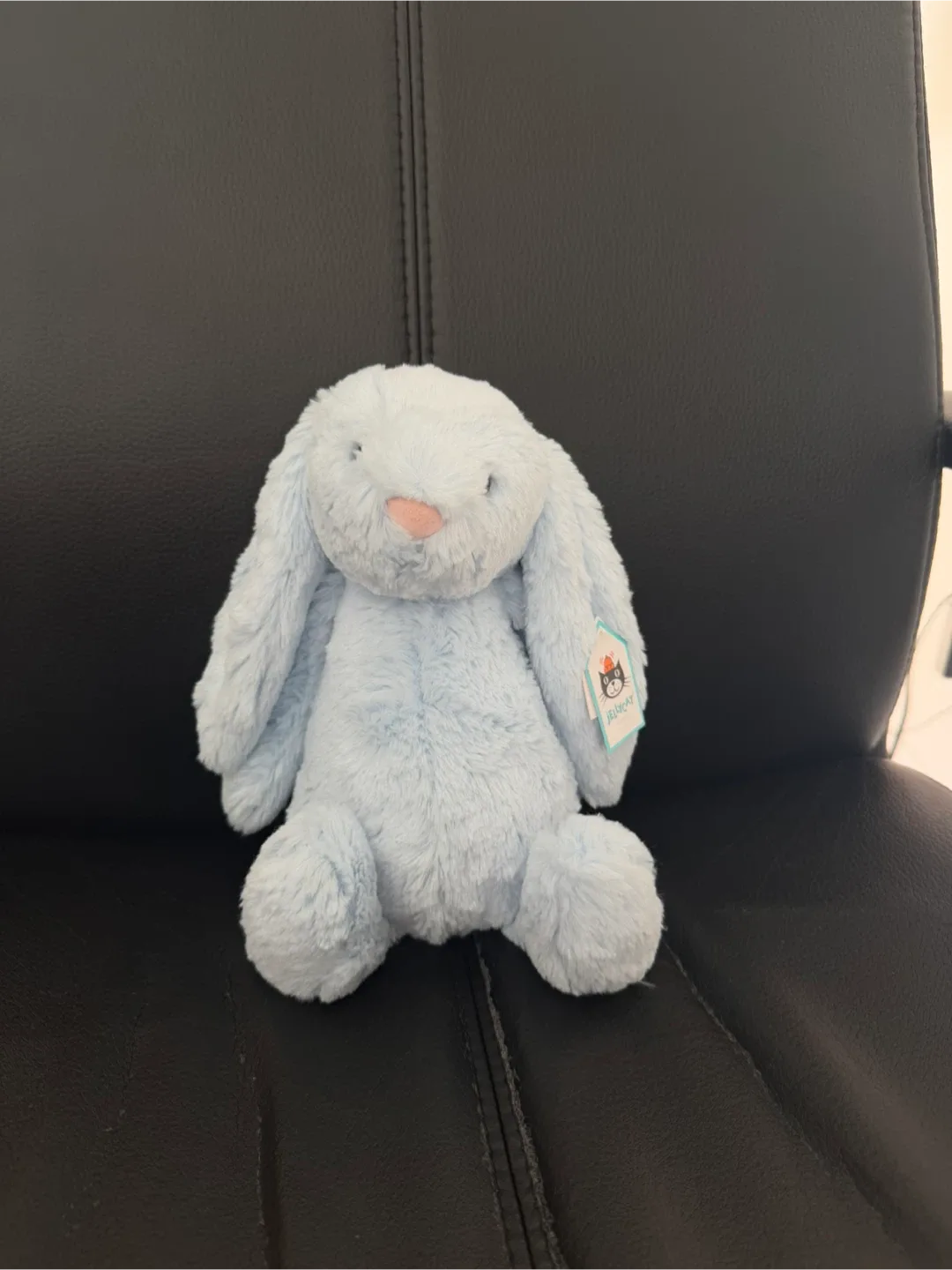 New - Jellycat Blue Bashful Bunny Chime