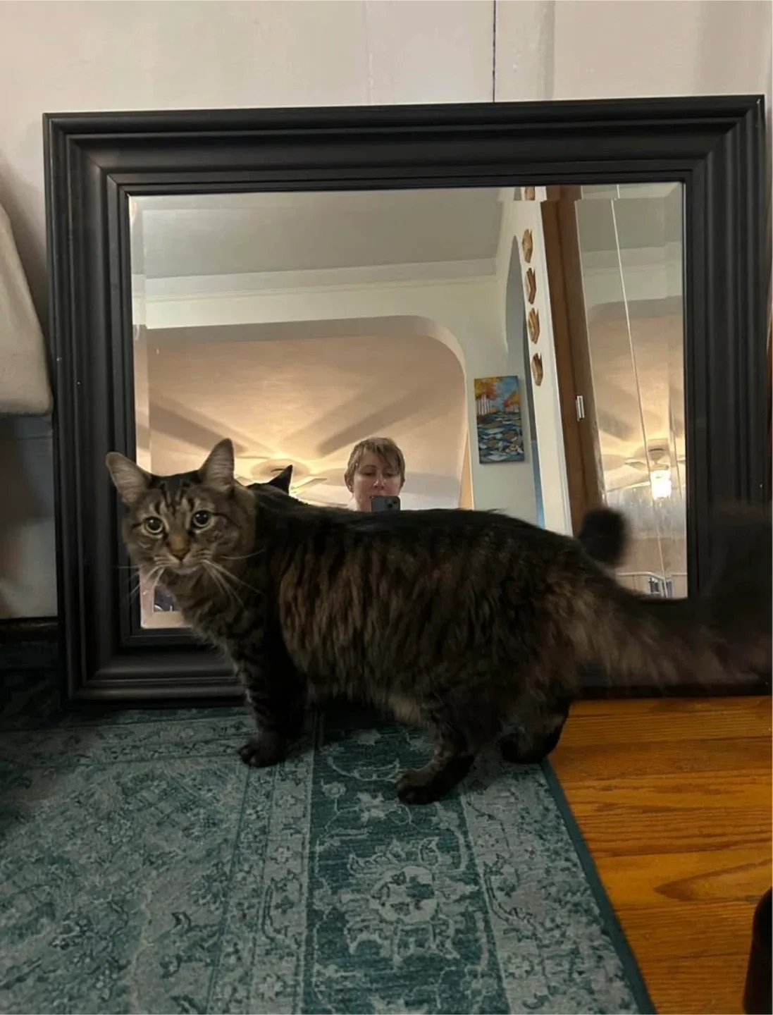 30”x36” Black Mirror