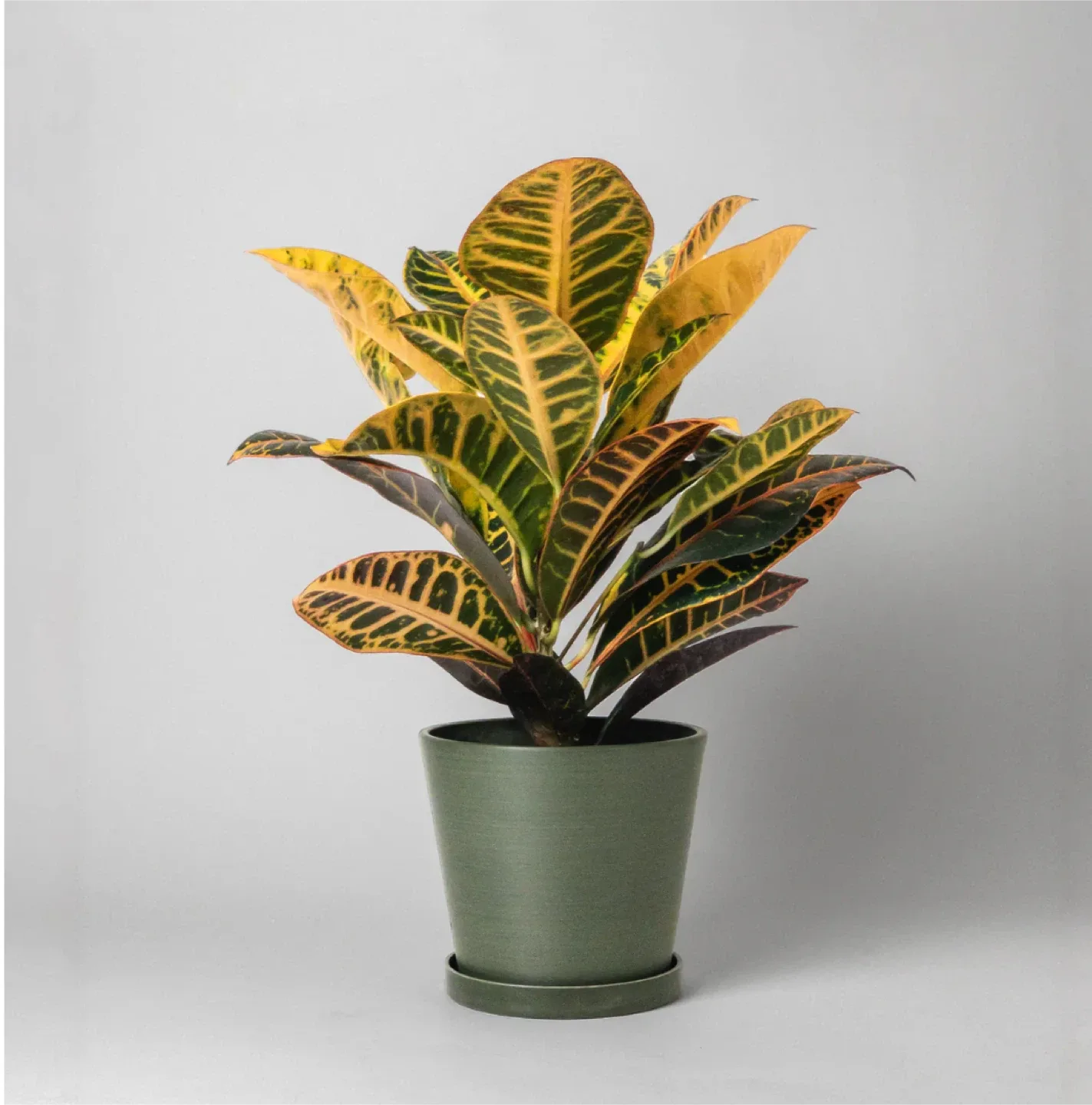 Kanso 7" Porous Pots+Saucer image indicator(2)