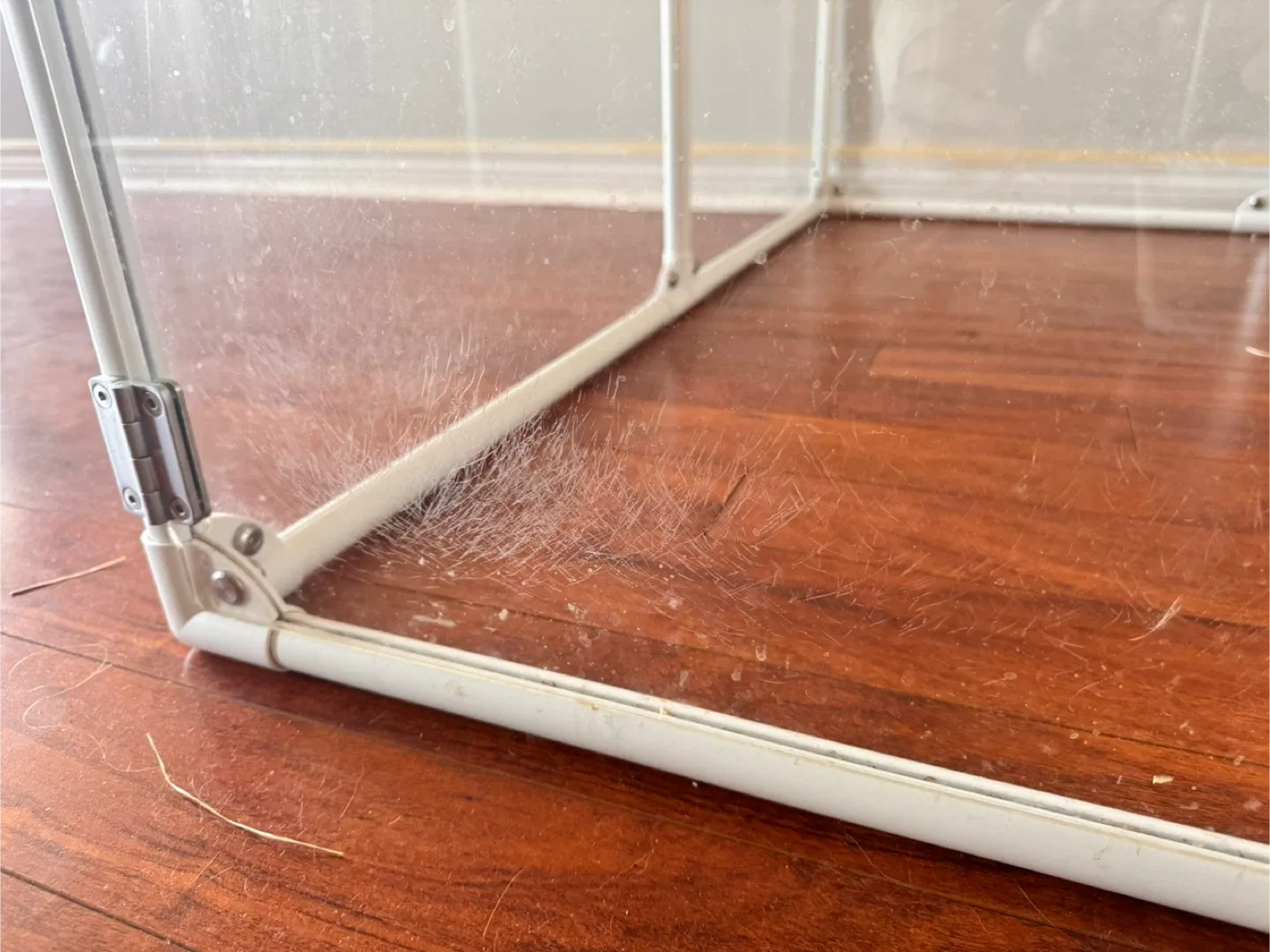 White Acrylic Clear Pet Pen image indicator(4)