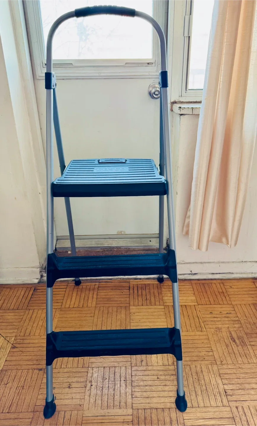 Folding Ladder - Costco
