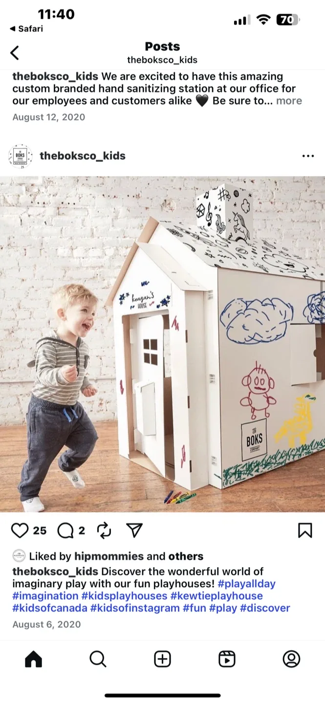 The Boks Company Cardboard Playhouse