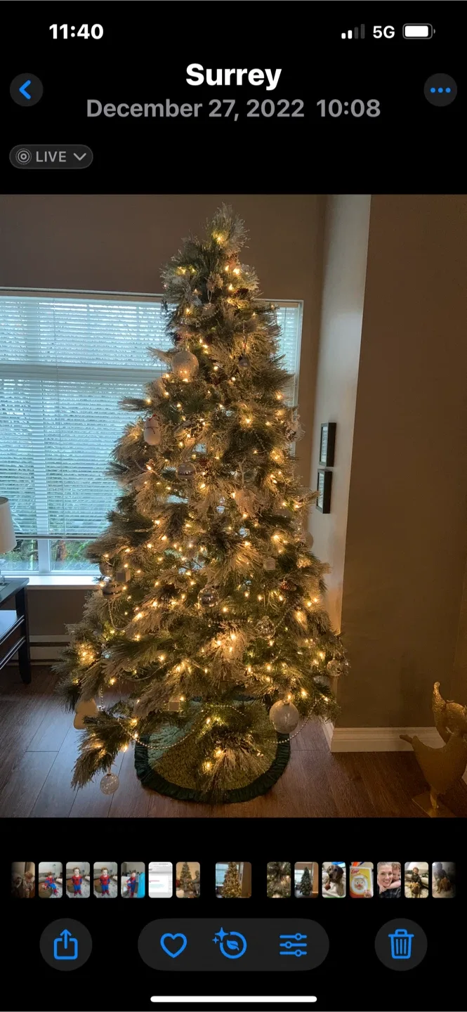 Christmas Tree with lights image indicator(4)