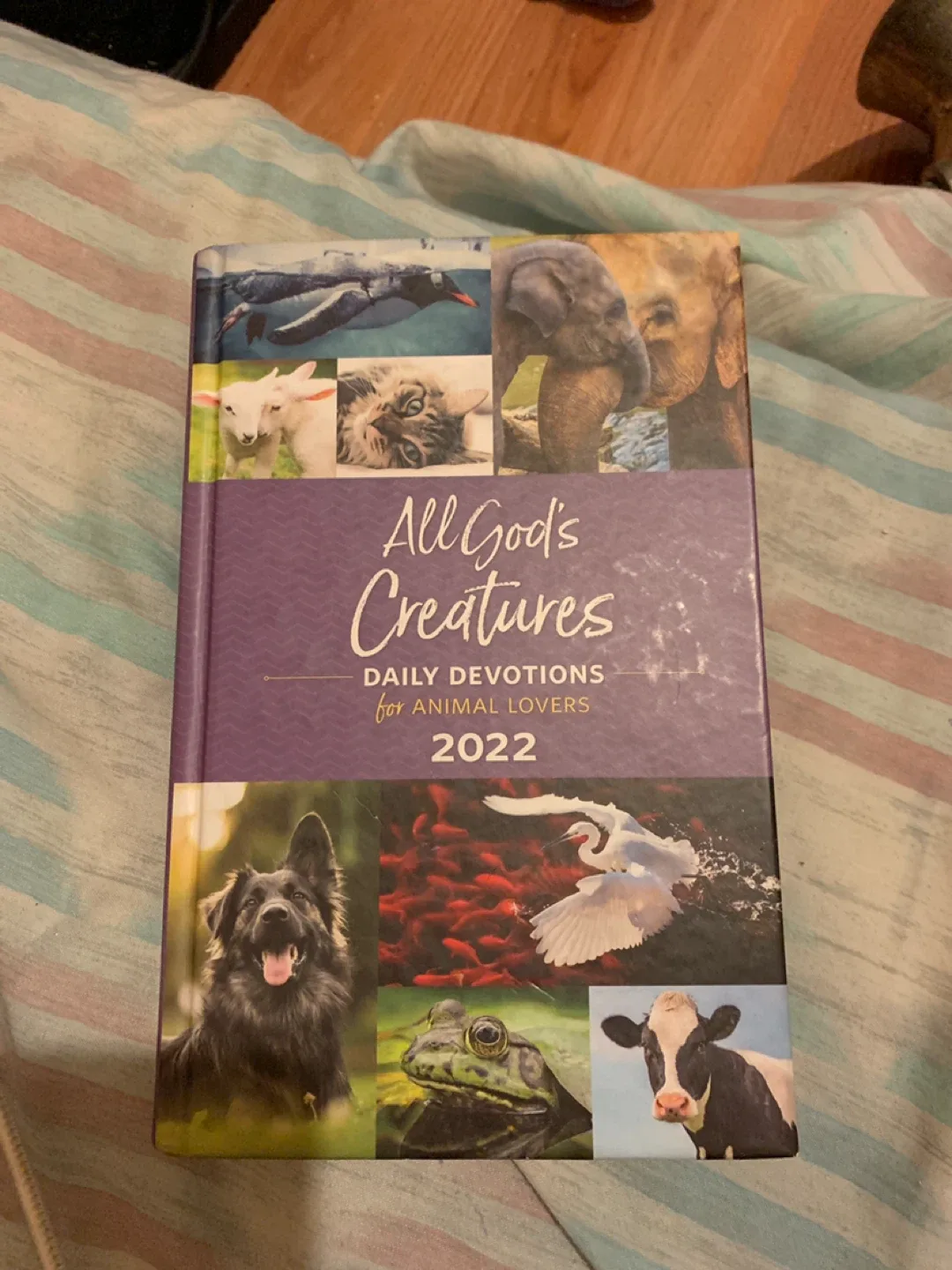 All God's Creatures Daily Devotions for Animal Lovers 2022