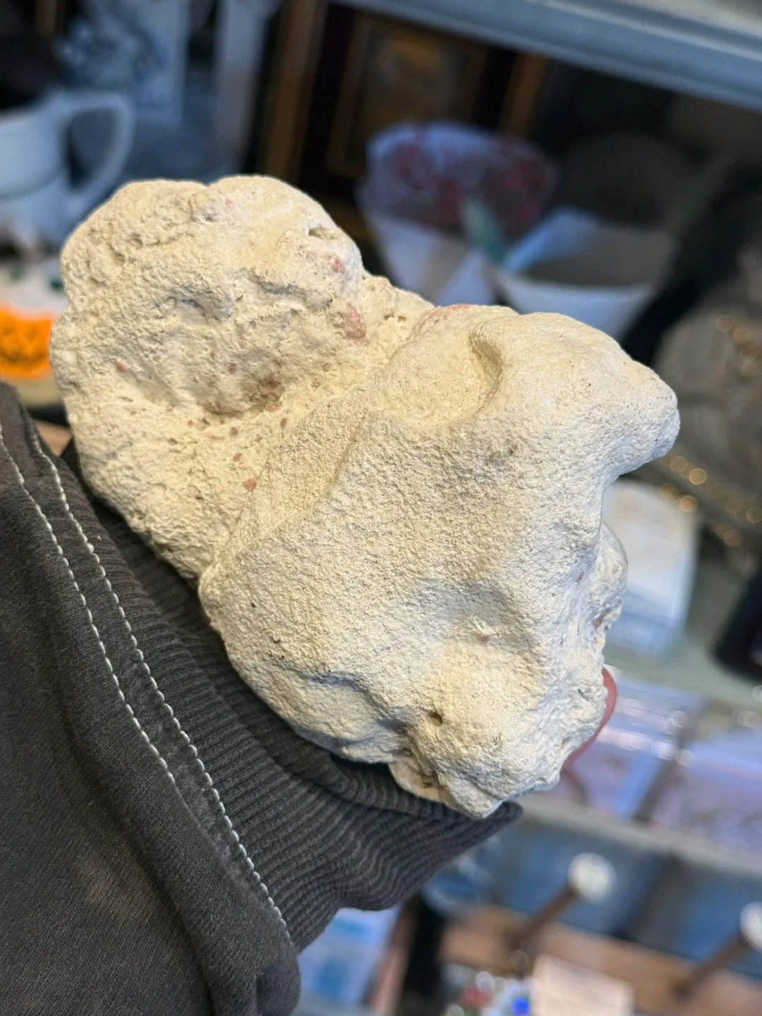 Piece of coral image indicator(2)