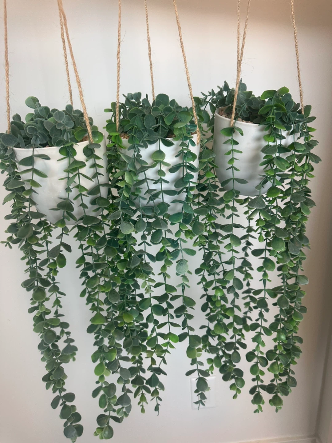 IKEA ASKOLMEN Bistro Set - Outdoor+ 3 Hanging Artificial Plants - photo 2