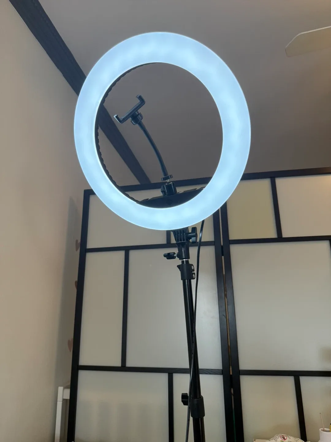 Ring Light with Tripod Stand